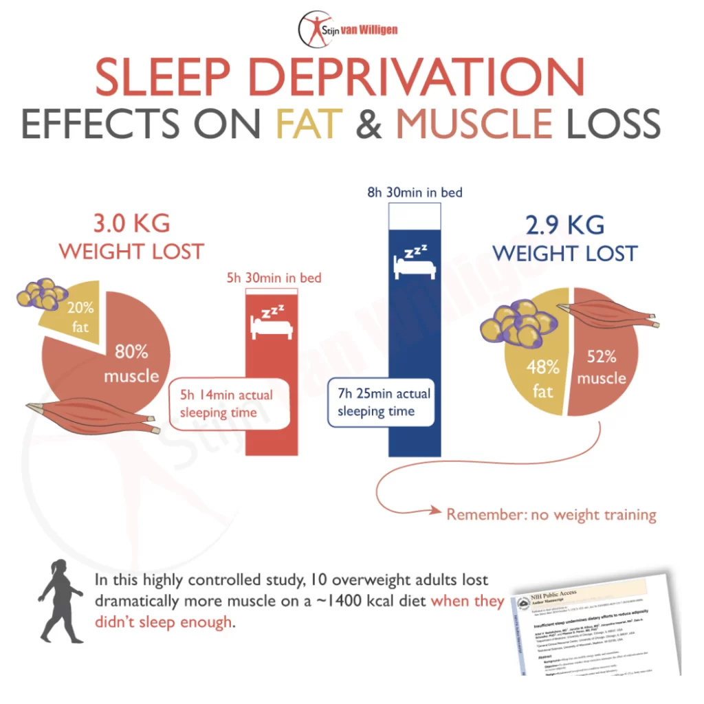 Sleep Deprivation Effects on Fat and Muscle Loss