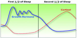 Growth Hormone 1st halve of sleep
